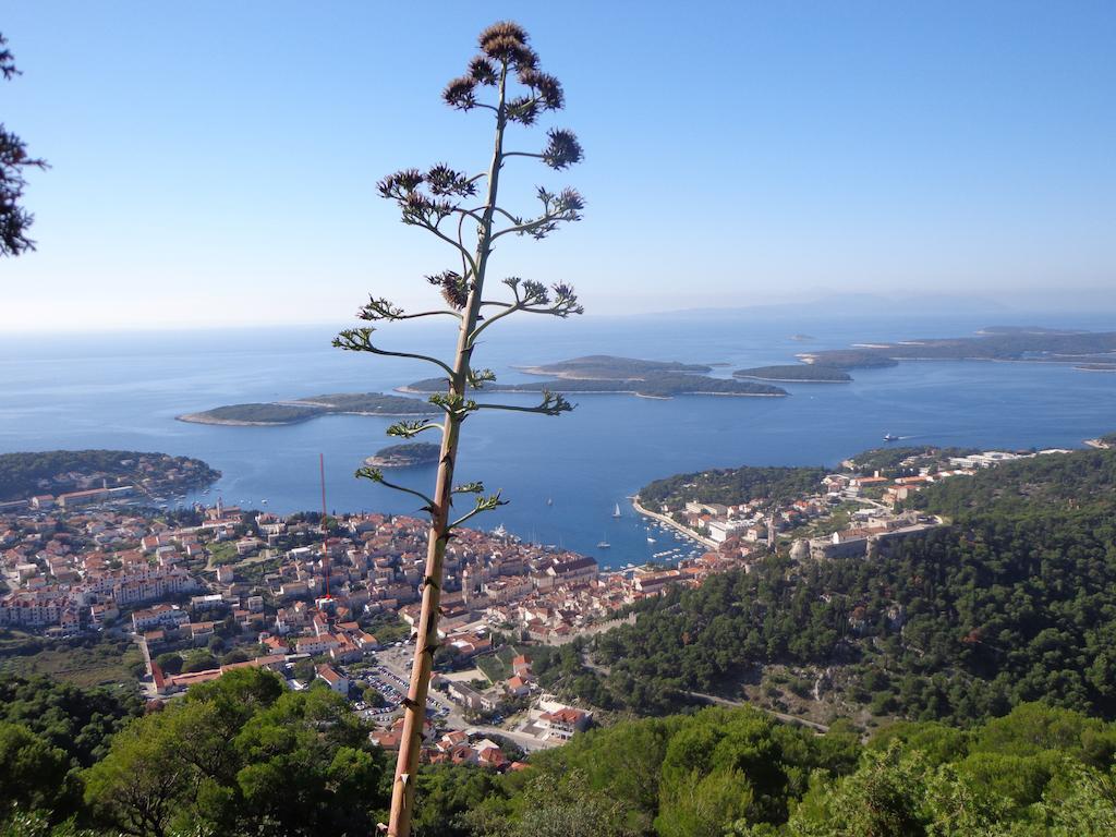 Ana Tudor Apartments Hvar Town Eksteriør bilde